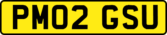 PM02GSU