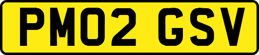PM02GSV