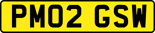 PM02GSW