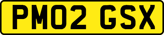 PM02GSX