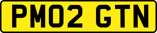 PM02GTN