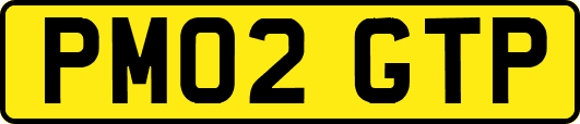 PM02GTP