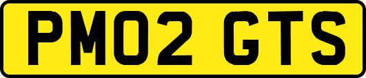 PM02GTS