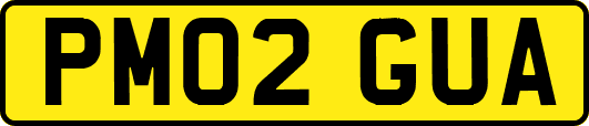 PM02GUA