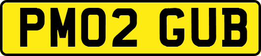 PM02GUB