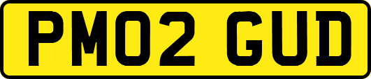 PM02GUD