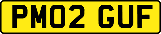PM02GUF