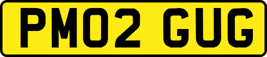 PM02GUG
