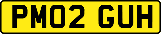 PM02GUH