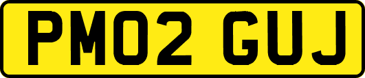 PM02GUJ