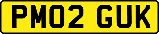 PM02GUK