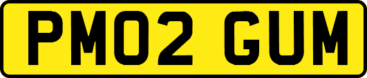 PM02GUM