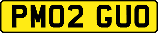 PM02GUO