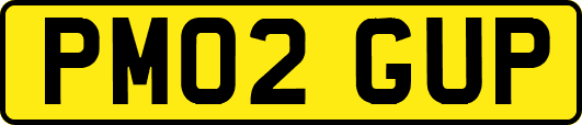 PM02GUP