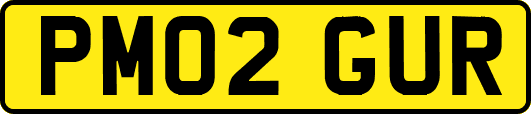 PM02GUR