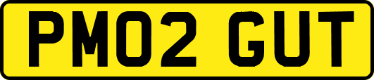 PM02GUT