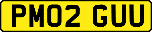 PM02GUU