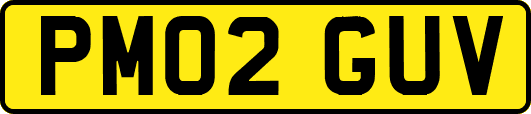 PM02GUV