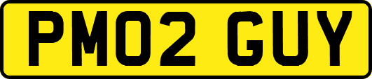 PM02GUY
