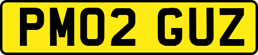 PM02GUZ