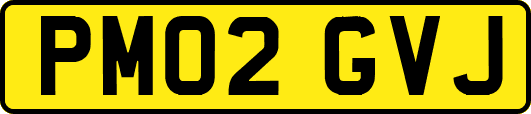 PM02GVJ