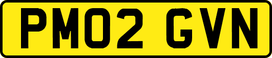 PM02GVN