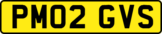 PM02GVS