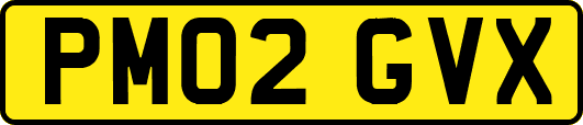 PM02GVX