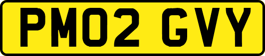 PM02GVY