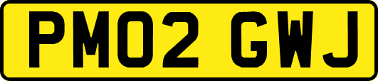 PM02GWJ