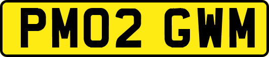 PM02GWM