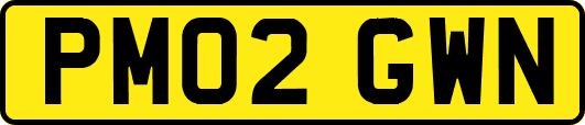 PM02GWN