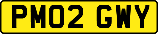 PM02GWY
