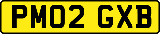 PM02GXB