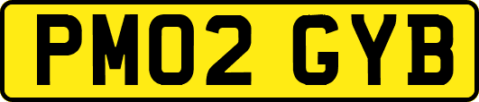 PM02GYB