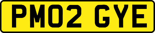 PM02GYE