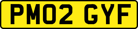 PM02GYF
