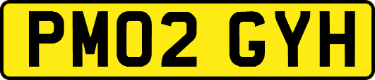 PM02GYH