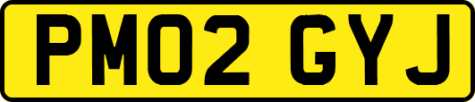 PM02GYJ