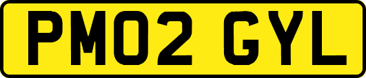 PM02GYL