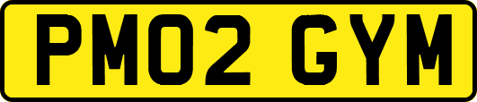 PM02GYM