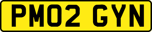 PM02GYN