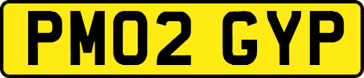PM02GYP