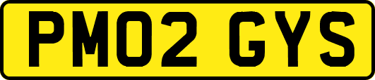 PM02GYS
