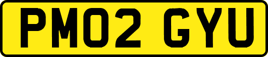 PM02GYU