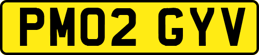 PM02GYV