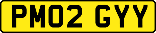 PM02GYY