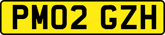 PM02GZH