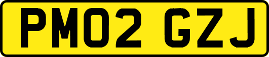 PM02GZJ