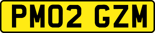 PM02GZM